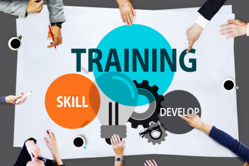 Employee skill development training