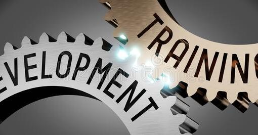 training and development company