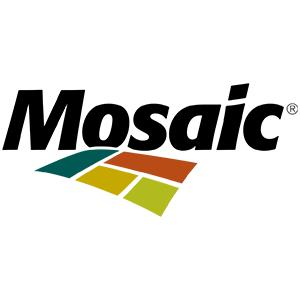 Mosaic-Step Learning India Client Logo